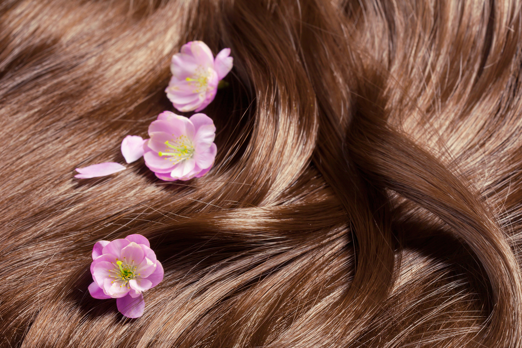 Haarpflege mit Arganöl